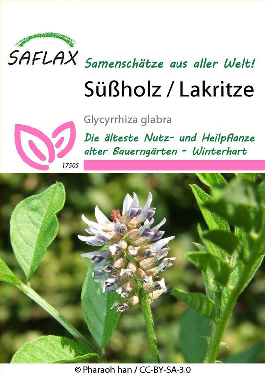 Sussholz-Lakritze1