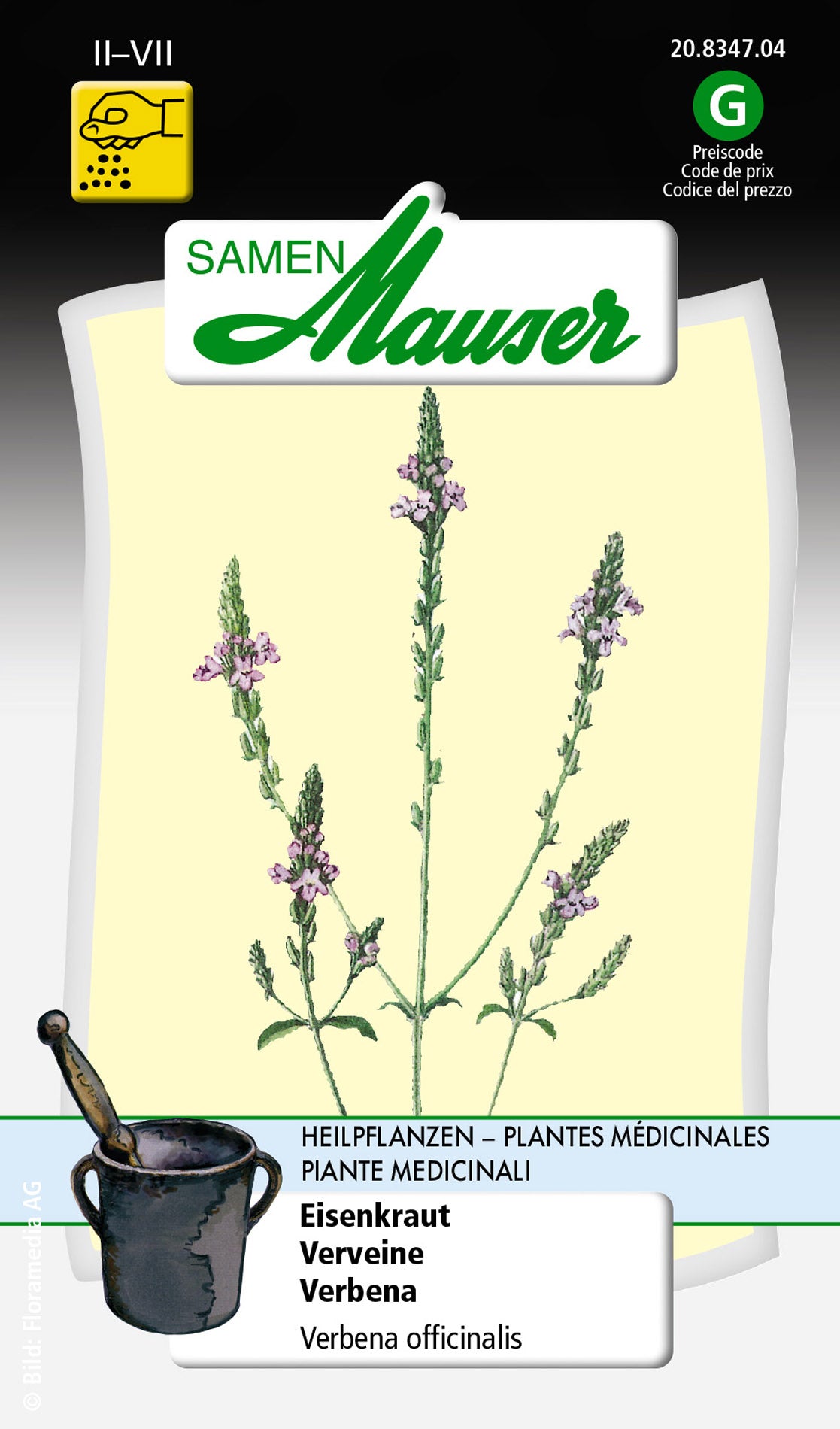 Verbena-Eisenkraut-Heilpflanze_20834704