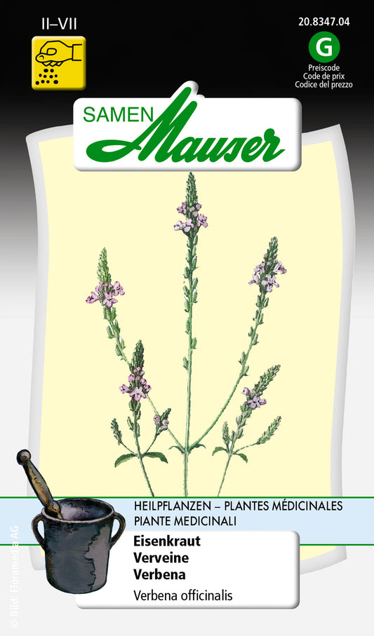 Verbena-Eisenkraut-Heilpflanze_20834704