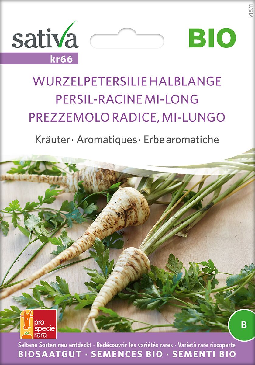 Wurzelpetersilie-halblange