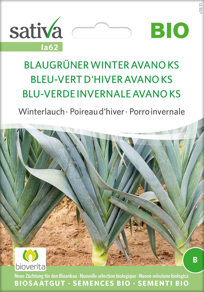 blaugruner-winter