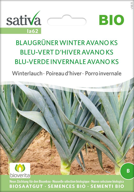 blaugruner-winter