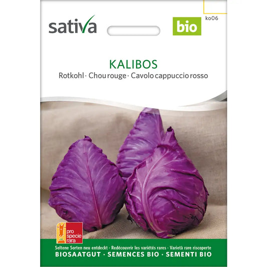Rotkohl 'Kalibos'