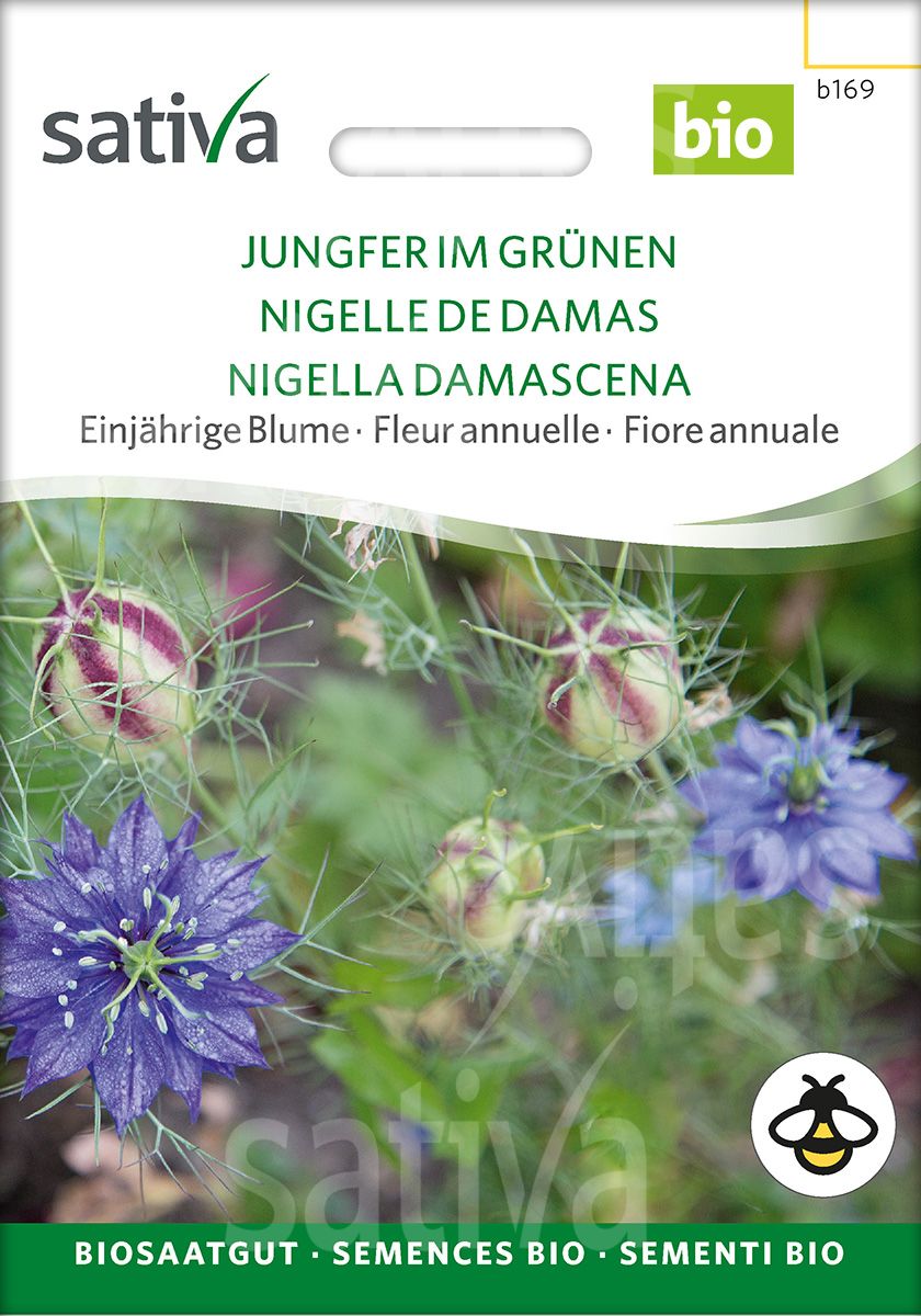 Jungfer Im Grünen