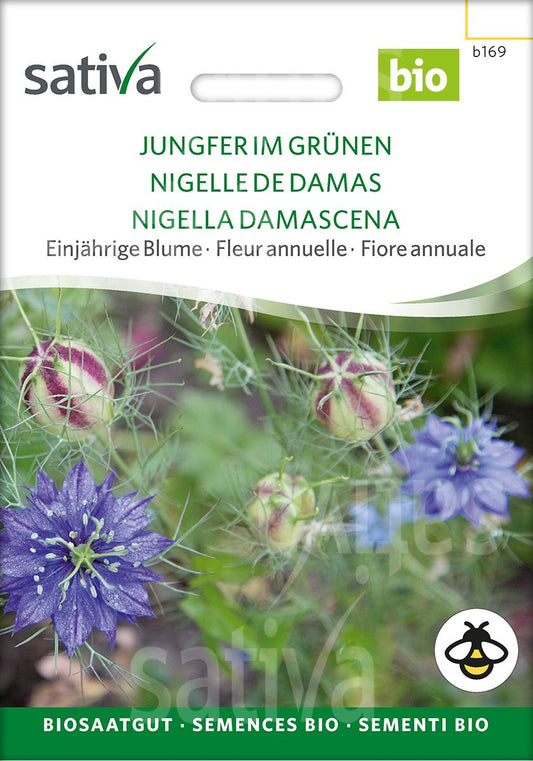Jungfer Im Grünen