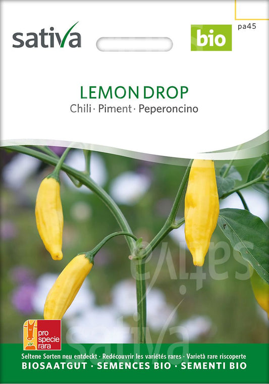 Lemon Drop - Chili