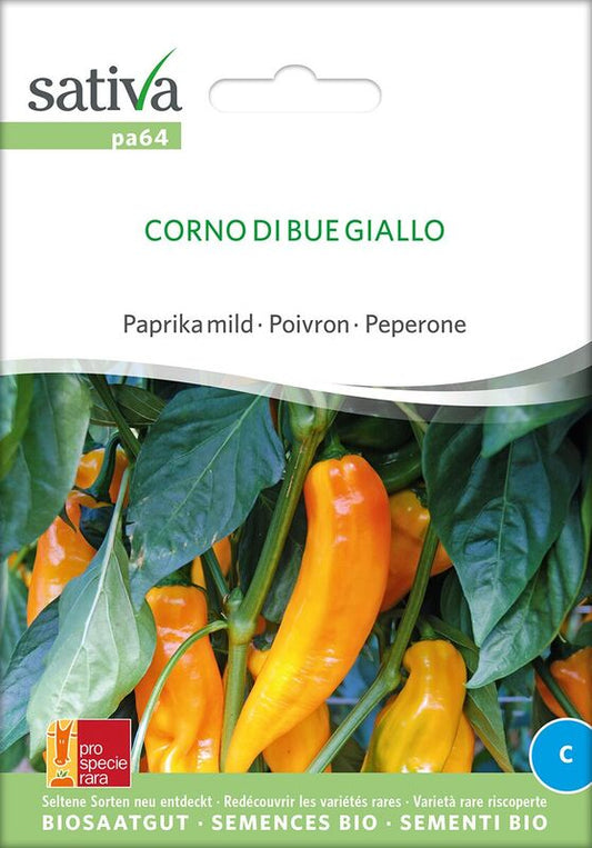 pa64-design-1_preview_jpeg