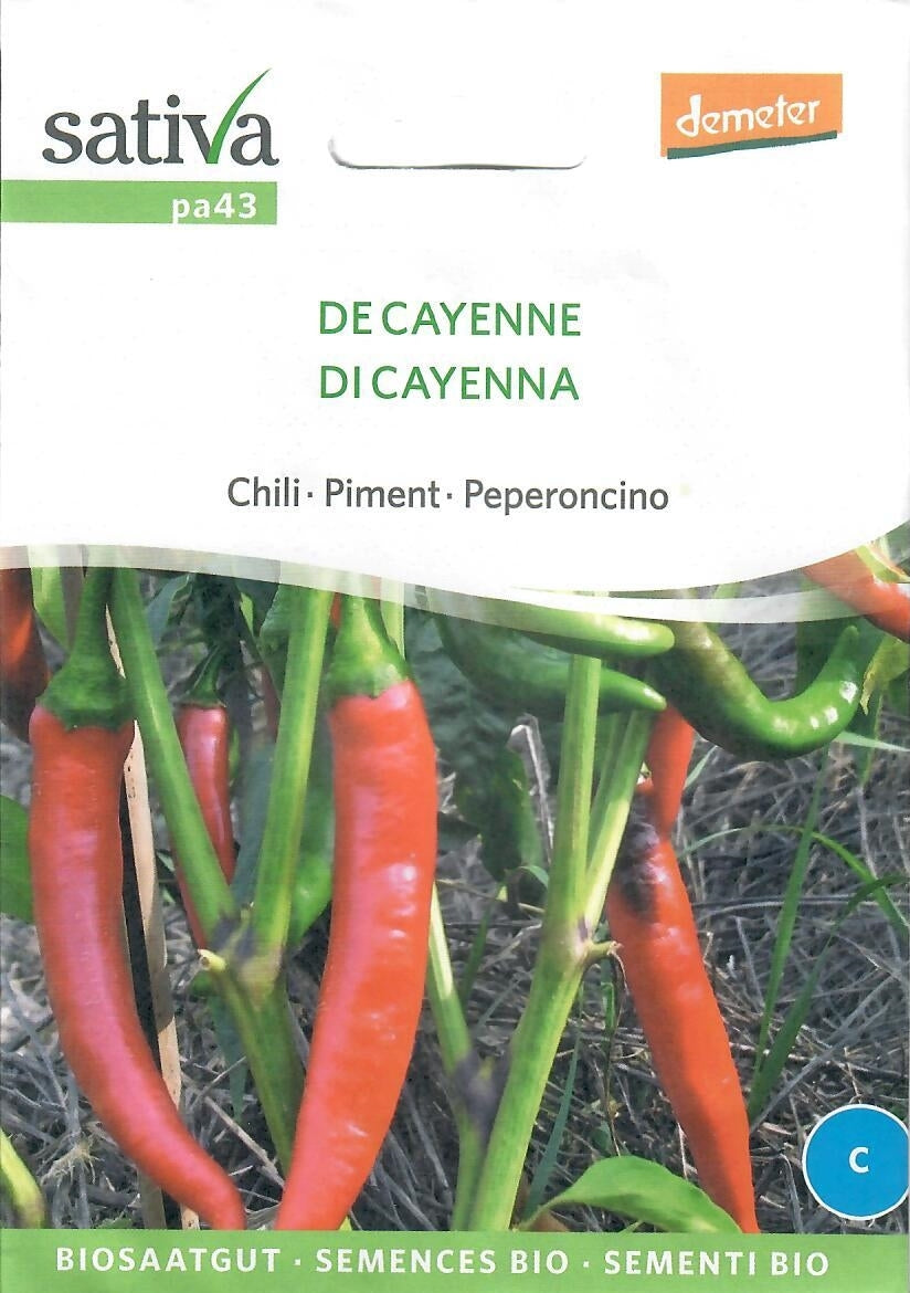 sativa-chili-de-cayenne-Vorderseite