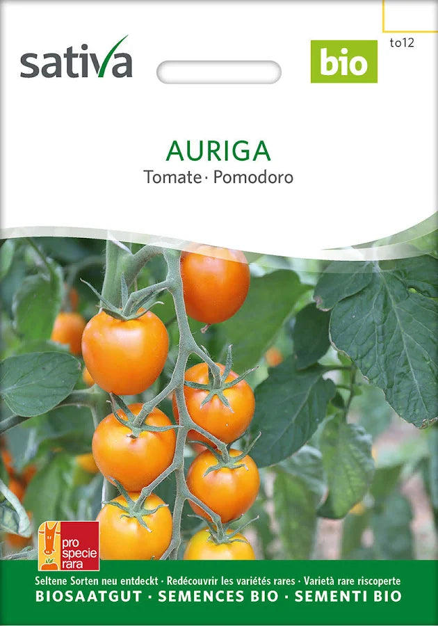 Tomate Auriga - ProSpecieRara