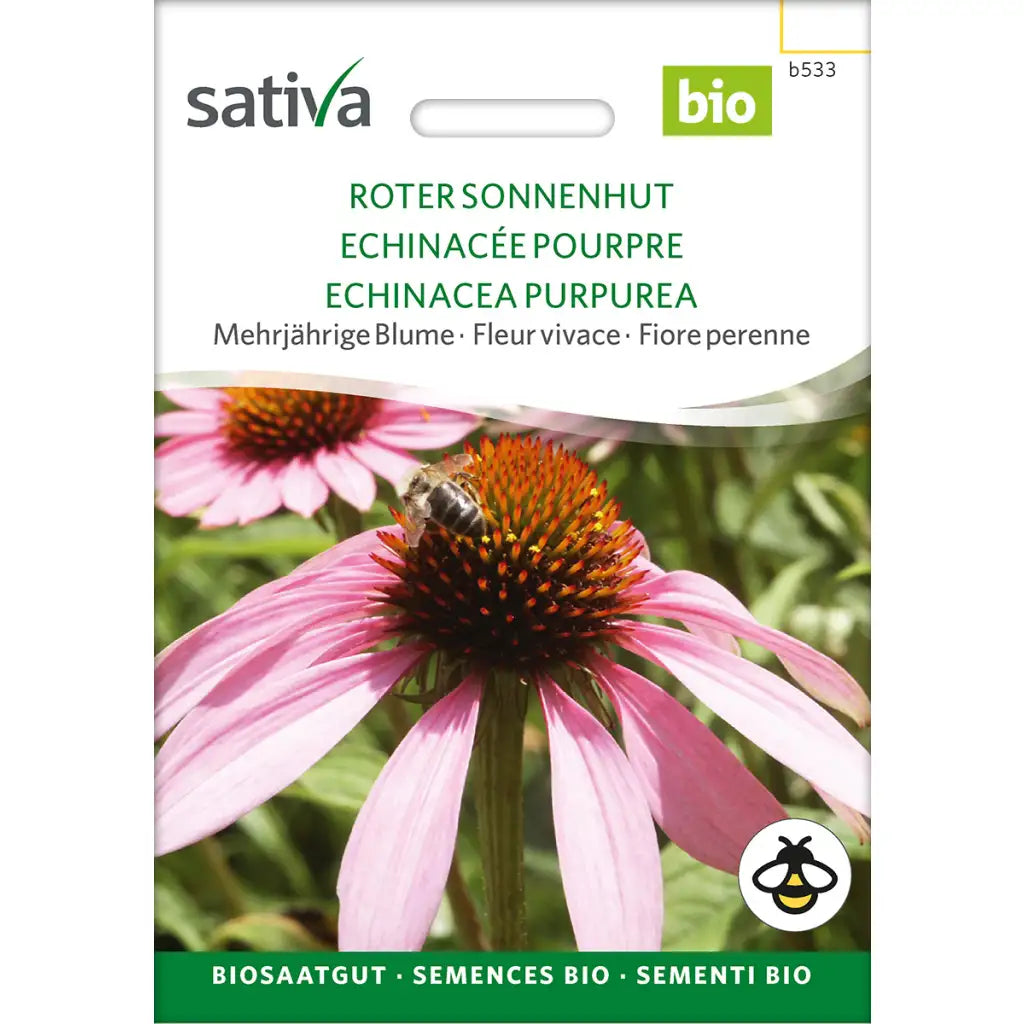 Roter Sonnenhut